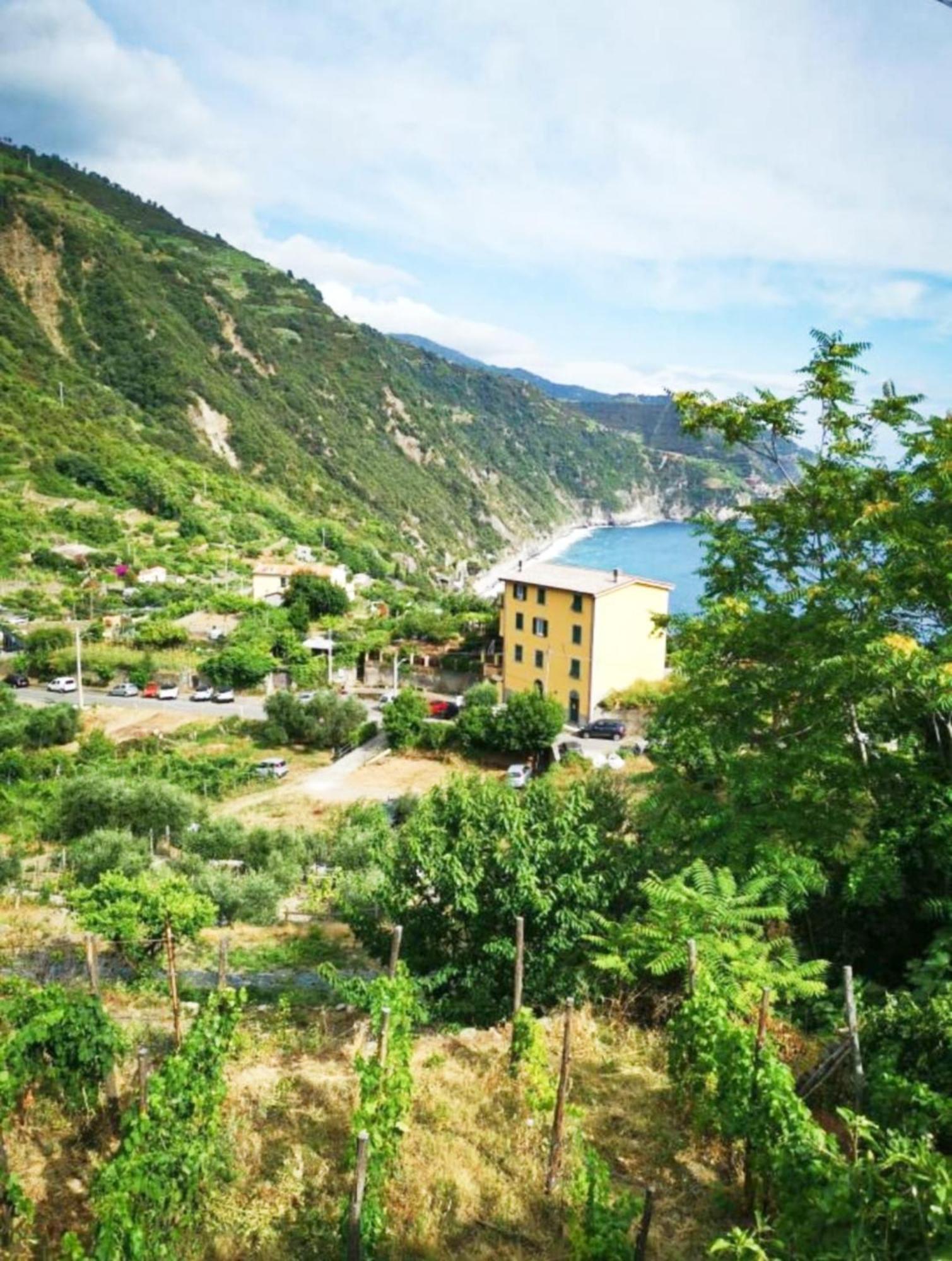 New Hanging Garden Corniglia Eksteriør billede